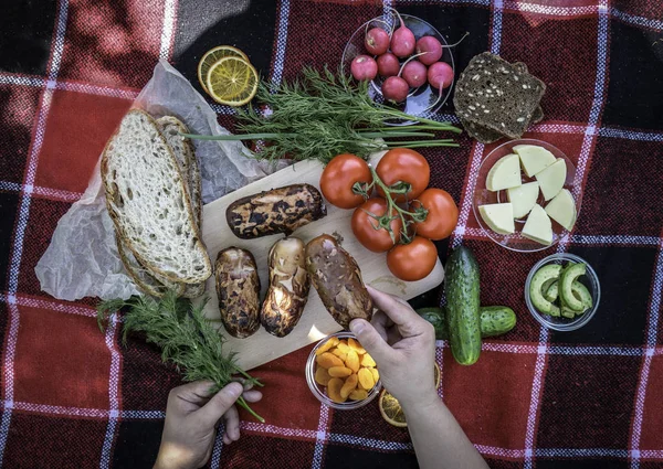 Piknik. Üzerinde piknik yemeği, barbekü, ateşte sosis, taze sebze, ekmek bulunan kırmızı ekoseler. Kompozisyon, temiz hava, sulu yiyecekler. Eller yiyecek tutun.