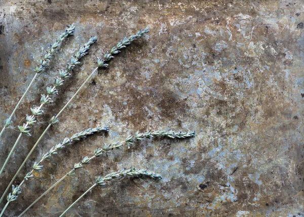 Dried lavender spaced out on rustic background, topview, flatlay