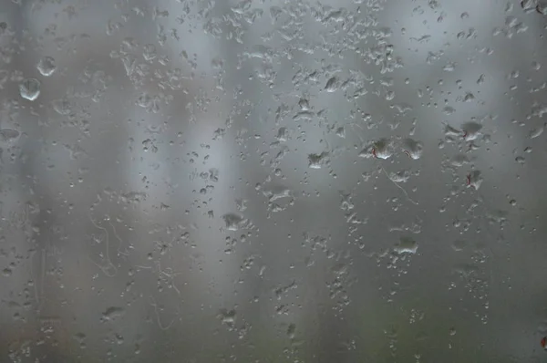 Chuva Cai Janela Com Fundo Floresta — Fotografia de Stock