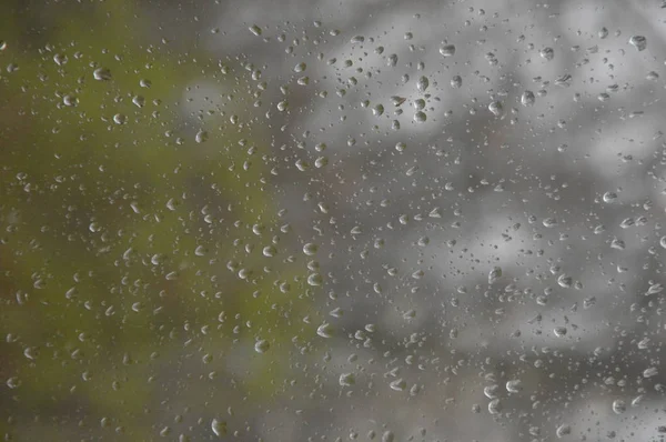 Chuva Cai Janela Com Fundo Floresta — Fotografia de Stock