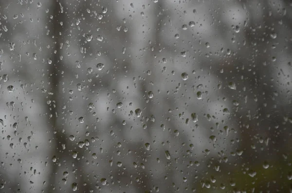 Капли Дождя Окно Фоне Леса — стоковое фото