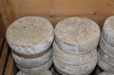 Kutusundaki peyniri yakınlaştır.