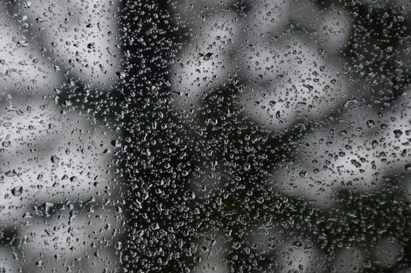 Rain drops on the window with forest background
