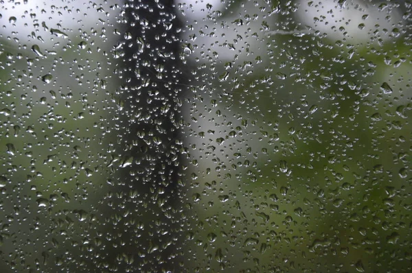 Chuva Cai Janela Com Fundo Floresta — Fotografia de Stock