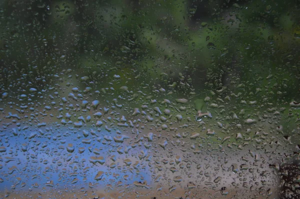 Hujan Tetes Jendela Dengan Latar Belakang Hutan — Stok Foto