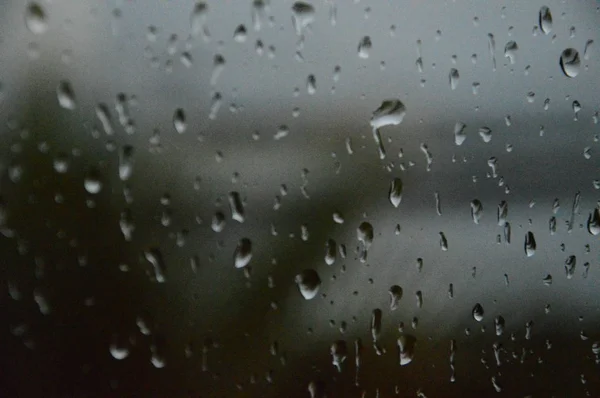 Regentropfen Auf Das Fenster Mit Waldhintergrund — Stockfoto