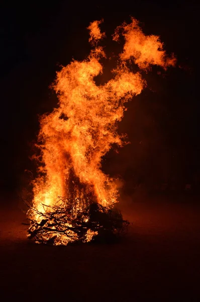 Velký Lesní Oheň Noci — Stock fotografie