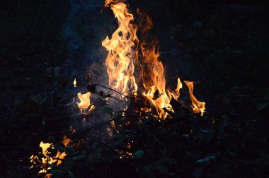Geceleyin küçük bir odun ateşine zum yap.