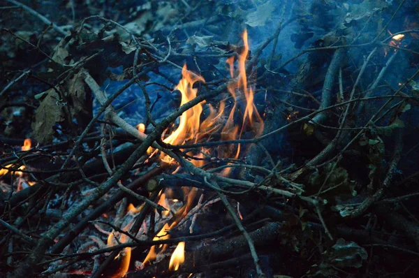Powiększ Mały Pożar Drewna Nocy — Zdjęcie stockowe