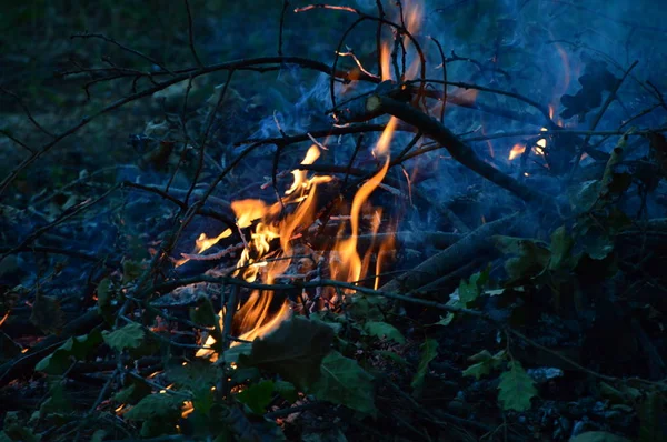 Zoom Small Wood Fire Night — Stock Photo, Image