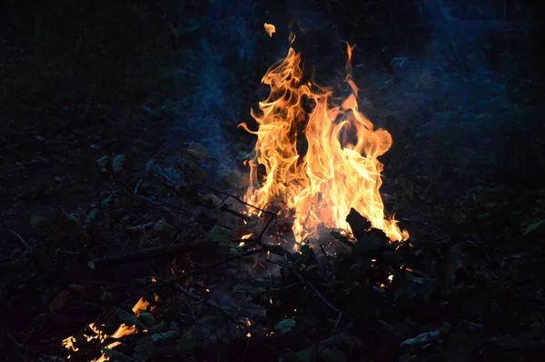 Zoom Small Wood Fire Night — Stock Photo, Image