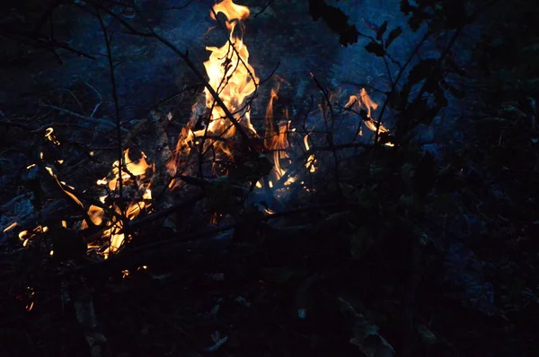 Zoom Auf Einem Kleinen Holzfeuer Der Nacht — Stockfoto