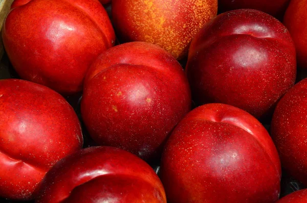 Peu Nectarines Dans Boîte — Photo