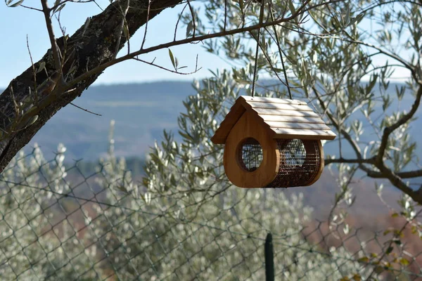 Une Petite Maison Oiseaux Plein Air — Photo