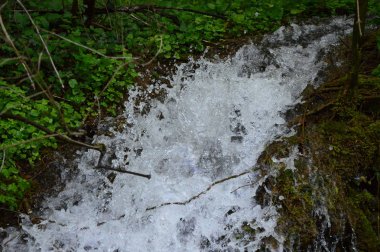 Yağmurda bir gün sonra