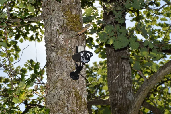 Closeup on a video surveillance camera in the forest