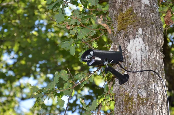 Closeup on a video surveillance camera in the forest