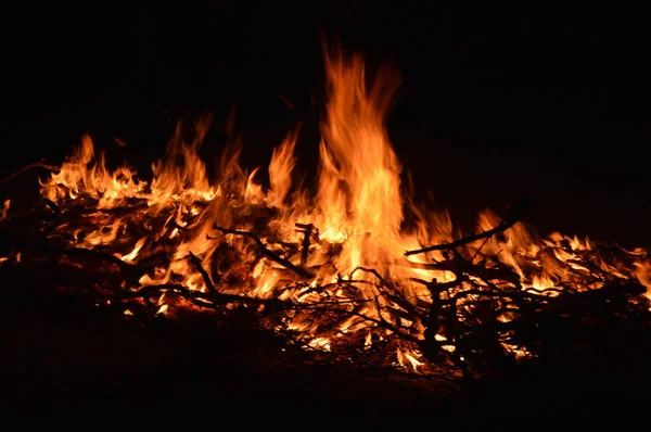 Пламя Ночи — стоковое фото