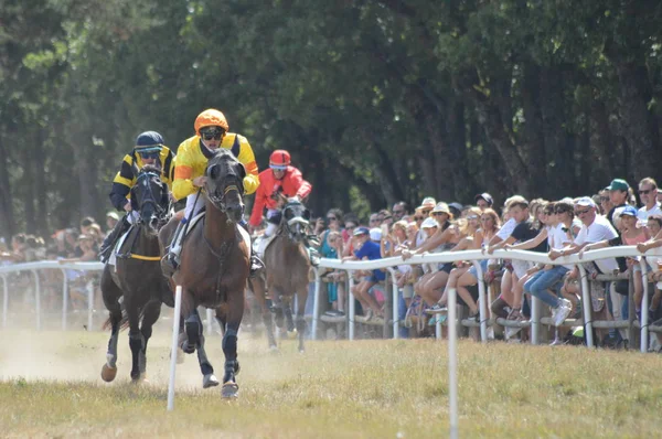 Agosto 2019 Hipódromo Sault Sur Francia Única Carrera Caballos Del — Foto de Stock