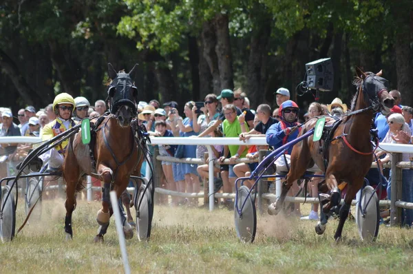 Agosto 2019 Hipódromo Sault Sur Francia Única Carrera Caballos Año —  Fotos de Stock