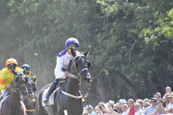 Agosto 2019 Hipódromo Sault Sur Francia Única Carrera Caballos Año —  Fotos de Stock