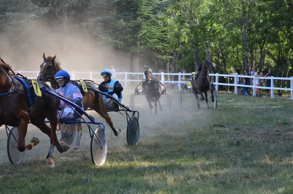 Ippodromo Sault Provenza Alpi Cte Azur Francia Agosto 2019 Unica — Foto Stock