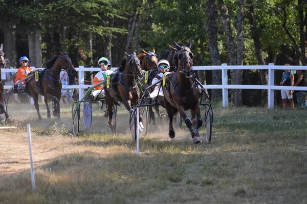 Hipódromo Sault Provenza Alpes Cte Azur Francia Agosto 2019 Única —  Fotos de Stock