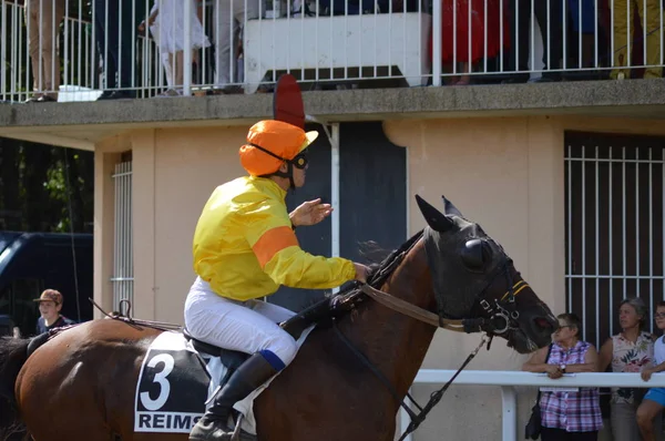 Hipódromo Sault Provenza Alpes Cte Azur Francia Agosto 2019 Única — Foto de Stock