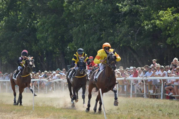 Hipódromo Sault Provenza Alpes Cte Azur Francia Agosto 2019 Única —  Fotos de Stock