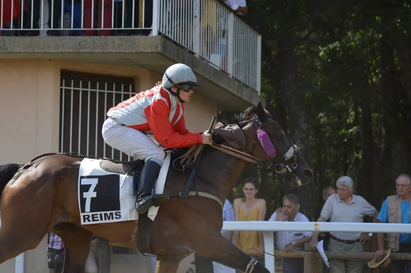 Hippodrome Sault Provence Alpes Cte Azur France Août 2019 Seule — Photo