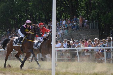 Sault, Provence-Alpes-Cte d'Azur Fransa'daki hipodrom. 11 Ağustos 2019. Yılın tek at yarışı