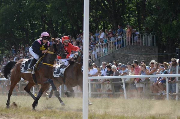 Hipódromo Sault Provenza Alpes Cte Azur Francia Agosto 2019 Única —  Fotos de Stock