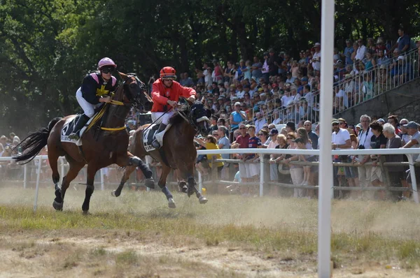 Ippodromo Sault Provenza Alpi Cte Azur Francia Agosto 2019 Unica — Foto Stock