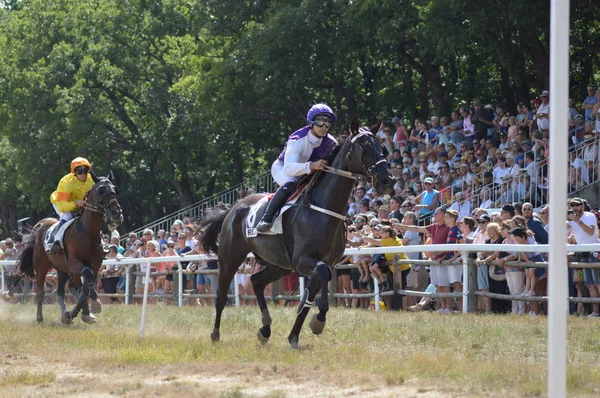 Hipódromo Sault Provenza Alpes Cte Azur Francia Agosto 2019 Única —  Fotos de Stock