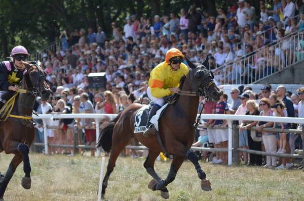 Ippodromo Sault Provenza Alpi Cte Azur Francia Agosto 2019 Unica — Foto Stock