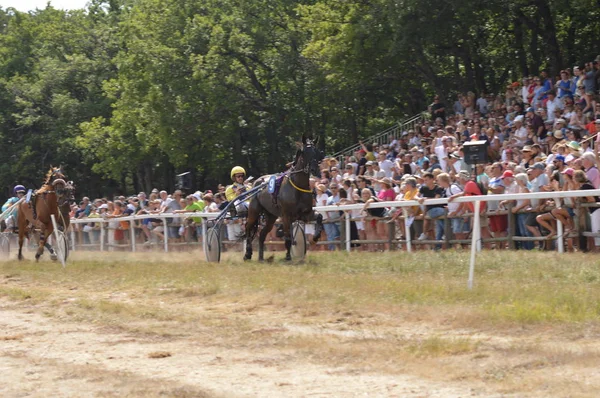 Racecourse Sault Provence Alpes Cte Azur France August 2019 Only — Stock Photo, Image