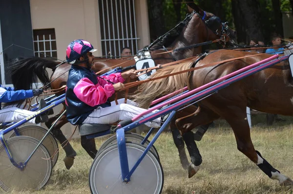 Hipódromo Sault Provenza Alpes Cte Azur Francia Agosto 2019 Única — Foto de Stock