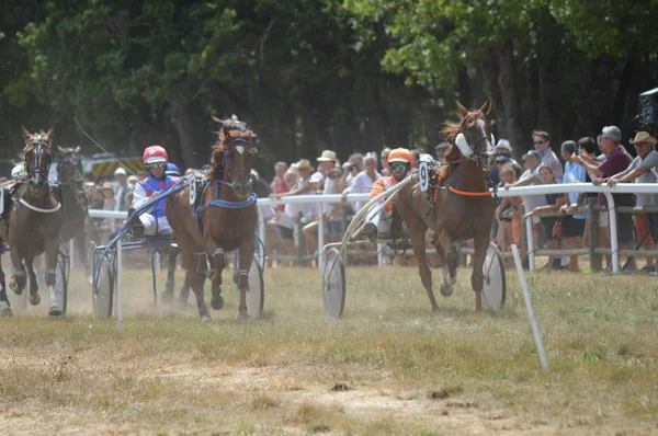 Hipódromo Sault Provenza Alpes Cte Azur Francia Agosto 2019 Única —  Fotos de Stock