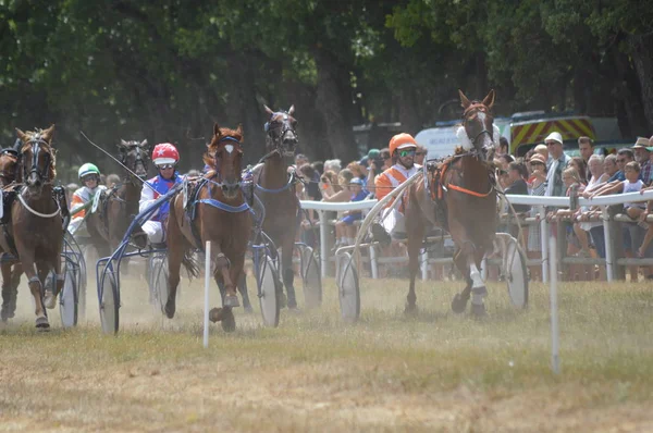 Hipódromo Sault Provenza Alpes Cte Azur Francia Agosto 2019 Única — Foto de Stock