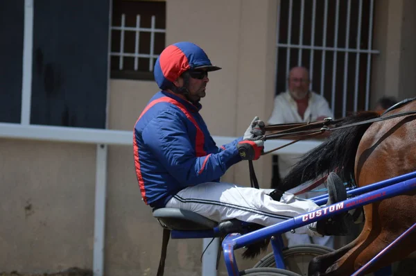 Racecourse Sault Provence Alpes Cte Azur França Agosto 2019 Única — Fotografia de Stock