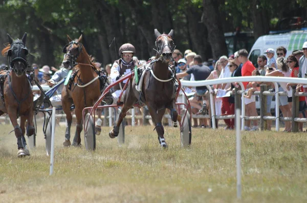 Hipódromo Sault Provenza Alpes Cte Azur Francia Agosto 2019 Única —  Fotos de Stock