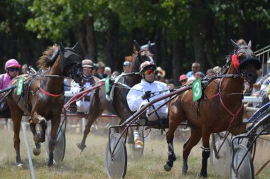 Sault, Provence-Alpes-Cte d'Azur Fransa'daki hipodrom. 11 Ağustos 2019. Yılın tek at yarışı