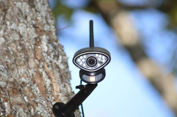 Closeup on a video surveillance camera in the forest