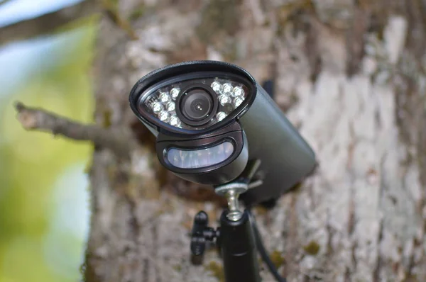Closeup on a video surveillance camera in the forest