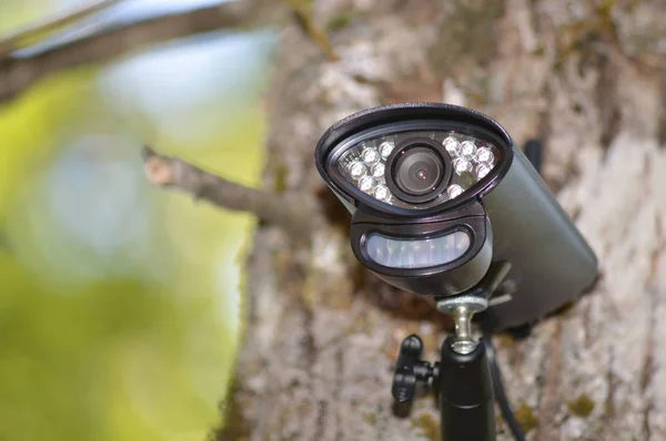 Gros Plan Sur Une Caméra Surveillance Vidéo Dans Forêt — Photo