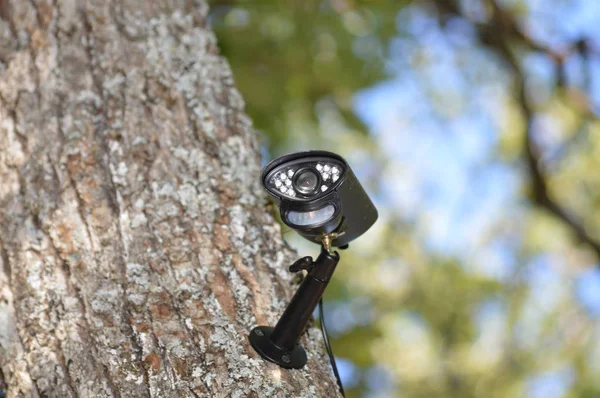 Primer Plano Una Cámara Video Vigilancia Bosque — Foto de Stock
