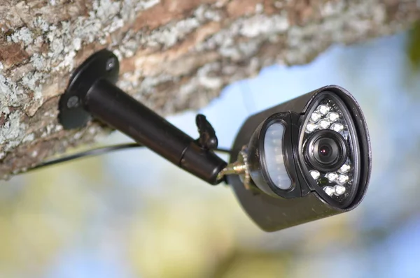 Closeup on a video surveillance camera in the forest