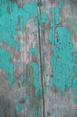 Çatlakları ve soyulmuş boyaları olan eski püskü yeşil bir ağaç.