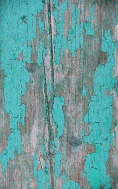 Çatlakları ve soyulmuş boyaları olan eski püskü yeşil bir ağaç.