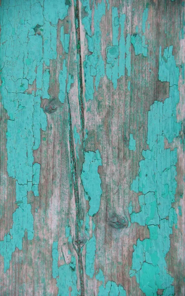 Çatlakları ve soyulmuş boyaları olan eski püskü yeşil bir ağaç.